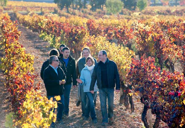 VISITA BODEGAS TORRES visita bodegas torres: