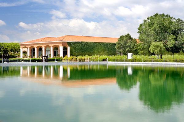 VISITA BODEGAS TORRES visita bodegas torres: