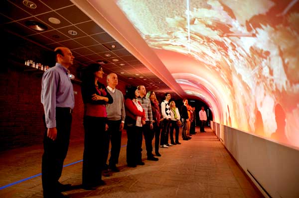 VISITA BODEGAS TORRES visita bodegas torres:
