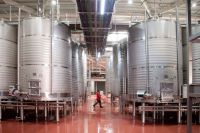 Bodega-sierra-norte-calderon-002