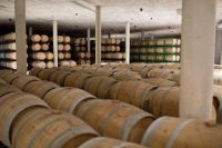 Bodega-sierra-norte-calderon-005
