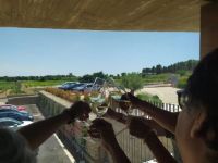 Bodega-sierra-norte-calderon-009