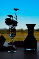 Bodega-sierra-norte-calderon-011