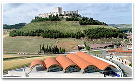 Enoturismo en Peñafiel