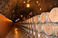 Bodegas_protos_pasillobarricas