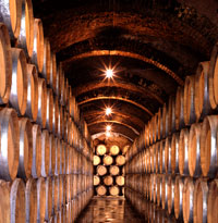 Bodegas_protos_salabarrica
