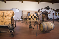 Museo-vino-bodegas-farina
