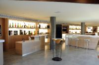 Bodega-cava-agusti-torello-penedes-03