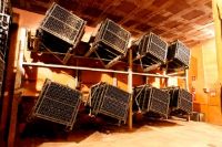 Bodega-cava-agusti-torello-penedes-04