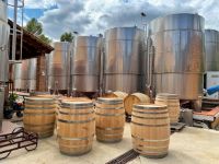 Bodega-cava-agusti-torello-penedes-06