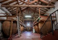 Bodega-historica-colmenar-oreja-madrid-002