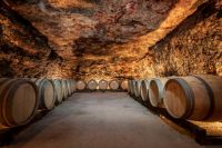 Bodega-historica-colmenar-oreja-madrid-007