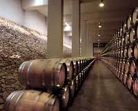Bodega_finca_la_antigua_barricas