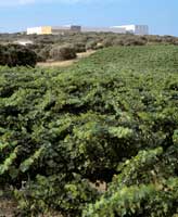 Bodega_finca_la_antigua_fachada3
