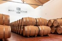 Bodegas-nodus-valencia-001