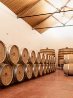 Bodegas-nodus-valencia-002