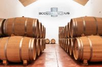 Bodegas-nodus-valencia-003