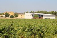 Bodegas-nodus-valencia-005