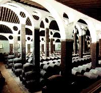 Bodegas_barbadillo_1