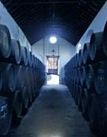 Bodegas_barbadillo_2
