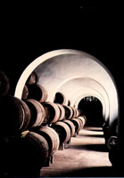 Bodegas_barbadillo_sangui