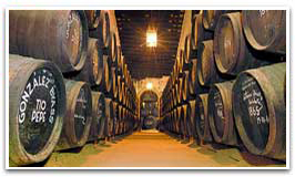 Visitas a bodegas Jerez