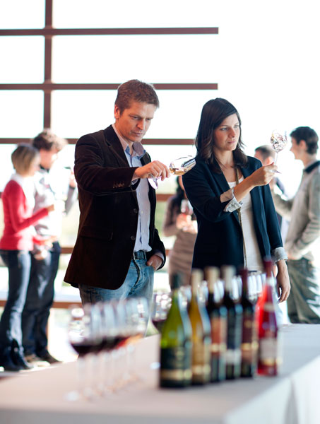 VISITA BODEGAS TORRES visita bodegas torres: