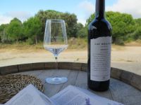 Cata-1-bodega-moradas-san-martin