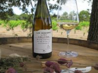 Cata-2-bodega-moradas-san-martin