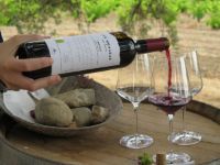 Cata-3-bodega-moradas-san-martin