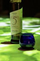 Cata-aceite-1-almazara-pontezuela