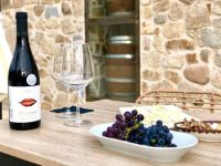 Cata-vino-1-bodega-huellas-tietar-avila