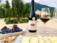 Cata-vino-2-bodega-huellas-tietar-avila