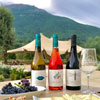Cata-vino-3-bodega-huellas-tietar-avila-top