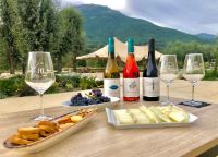 Cata-vino-3-bodega-huellas-tietar-avila