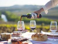 Cata-vino-4-bodega-lopez-haro-la-rioja