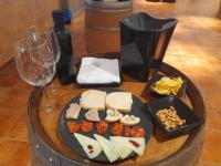 Cata-vinos-1-bodega-campo-criptana-ciudad-real