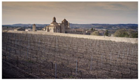 Clos_vinedomonasterio