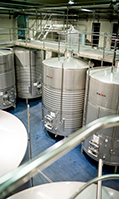 Cubas-1-elaboracion-vino-bodega-emina-ribera-duero