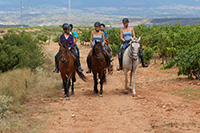 Detalle-ruta-a-caballo-hipica-navarrete
