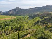 Entorno-1-bodega-tobelos