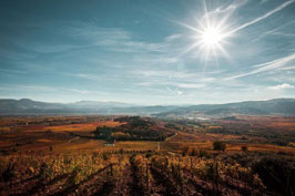 Escapadas de enoturismo en El Bierzo