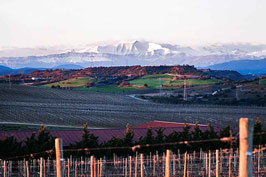 Enoturismo en Aragón