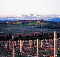 Entorno-bodega-sommos