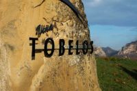 Entrada-1-bodega-tobelos