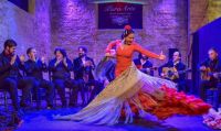 Espectaculo-12-tablao-flamenco-jerez