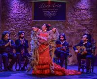 Espectaculo-13-tablao-flamenco-jerez