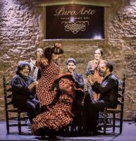 Espectaculo-6-tablao-flamenco-jerez