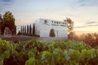 Fachada-1-bodega-tobelos