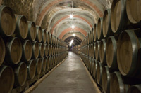 Galerias-subterraneas-bodegas-protos